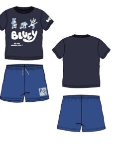 Conjunto Bluey
