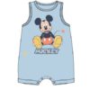 Mono Bebe Mickey