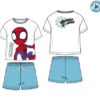 Conjunto Spidey Webbed Wonder