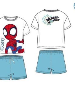 Conjunto Spidey Webbed Wonder