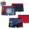 Boxer Baño Spiderman Dibujo Delantero